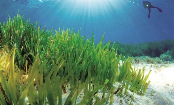 Patrimonio de la humanidad