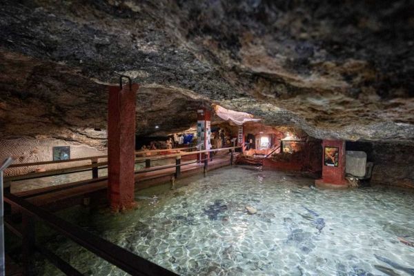 Visita al Aquarium Cap Blanc
