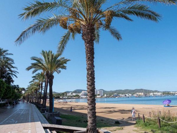 Paseo Marítimo de Sant Antoni